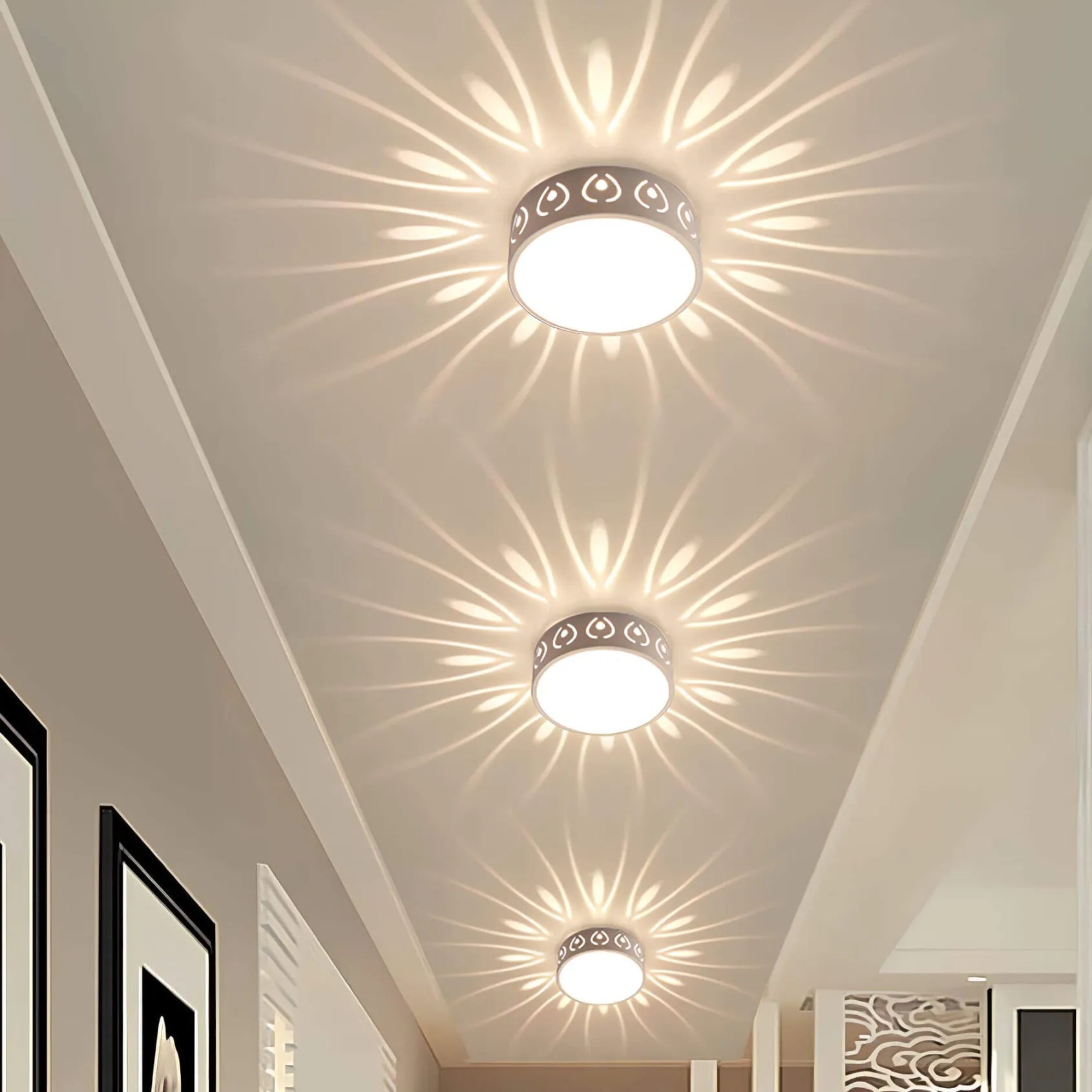 LED Overhead Light Fixture