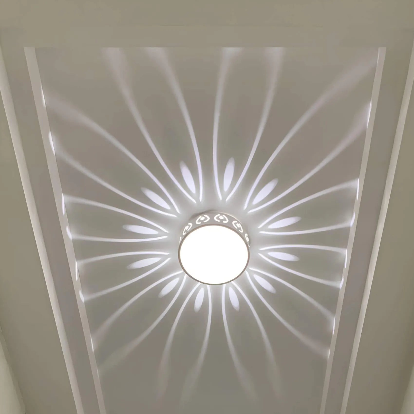 LED Overhead Light Fixture