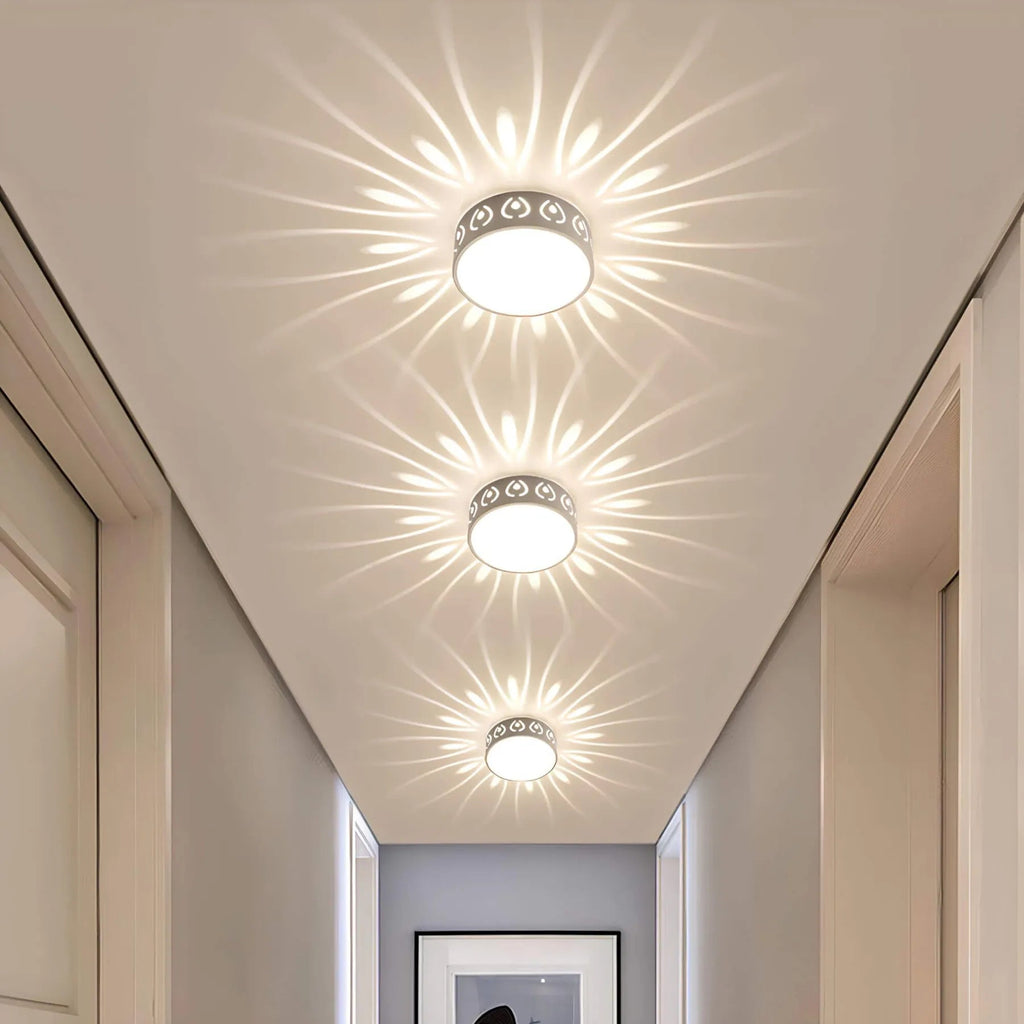 LED Overhead Light Fixture