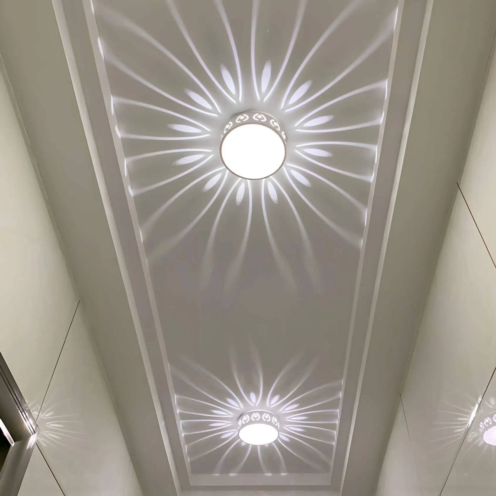 LED Overhead Light Fixture