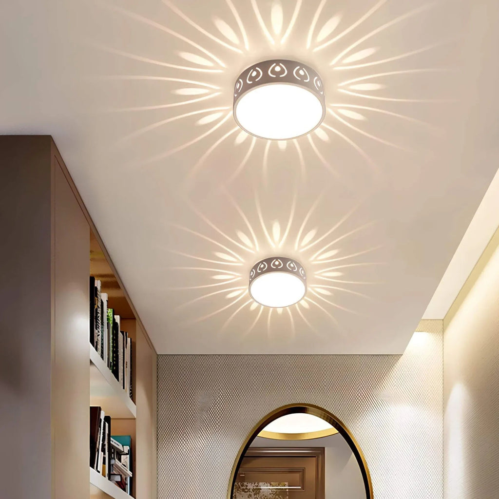 LED Overhead Light Fixture