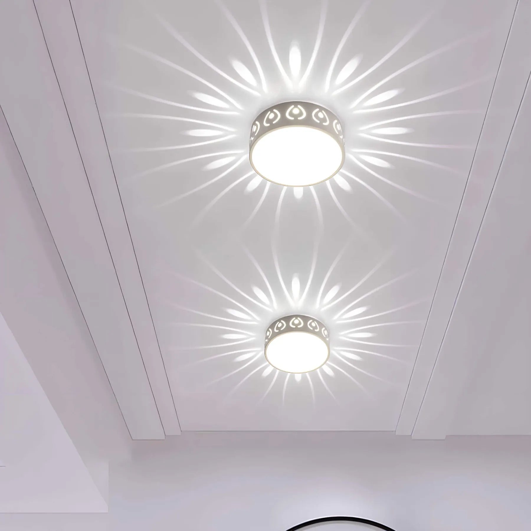 LED Overhead Light Fixture